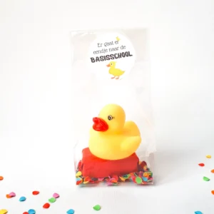 Er gaat er eendje naar basisschool