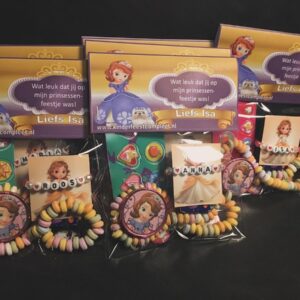 uitdeelzakje prinsessenfeestje