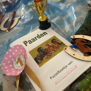 Medium pakket paardenfeest