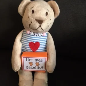 Lieve knuffelbeer