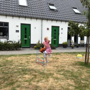 Kinderfeestje thema paarden