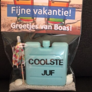 Coole juf /meester of coole vakantie